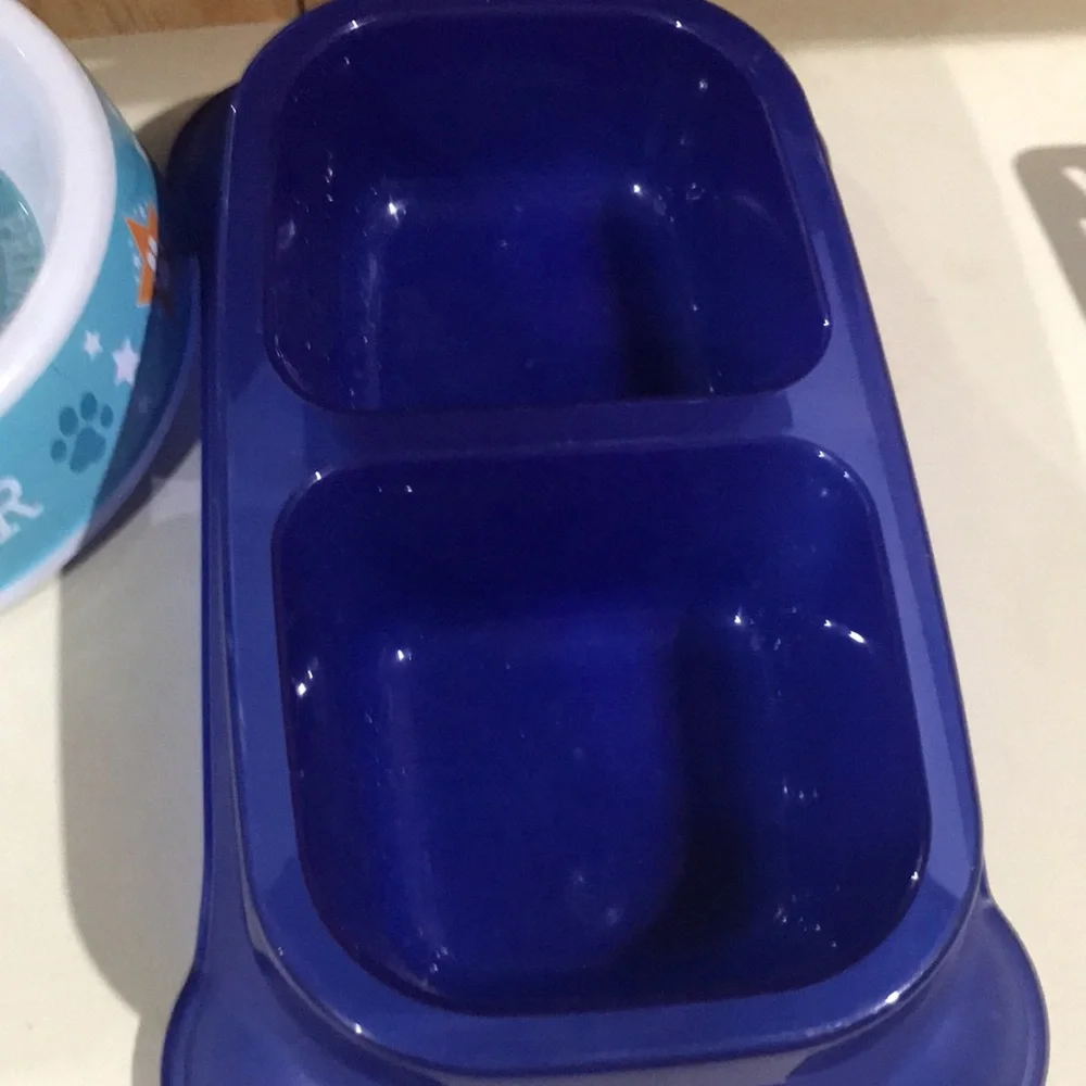 2 round dog bowls and one with 2 bowls.